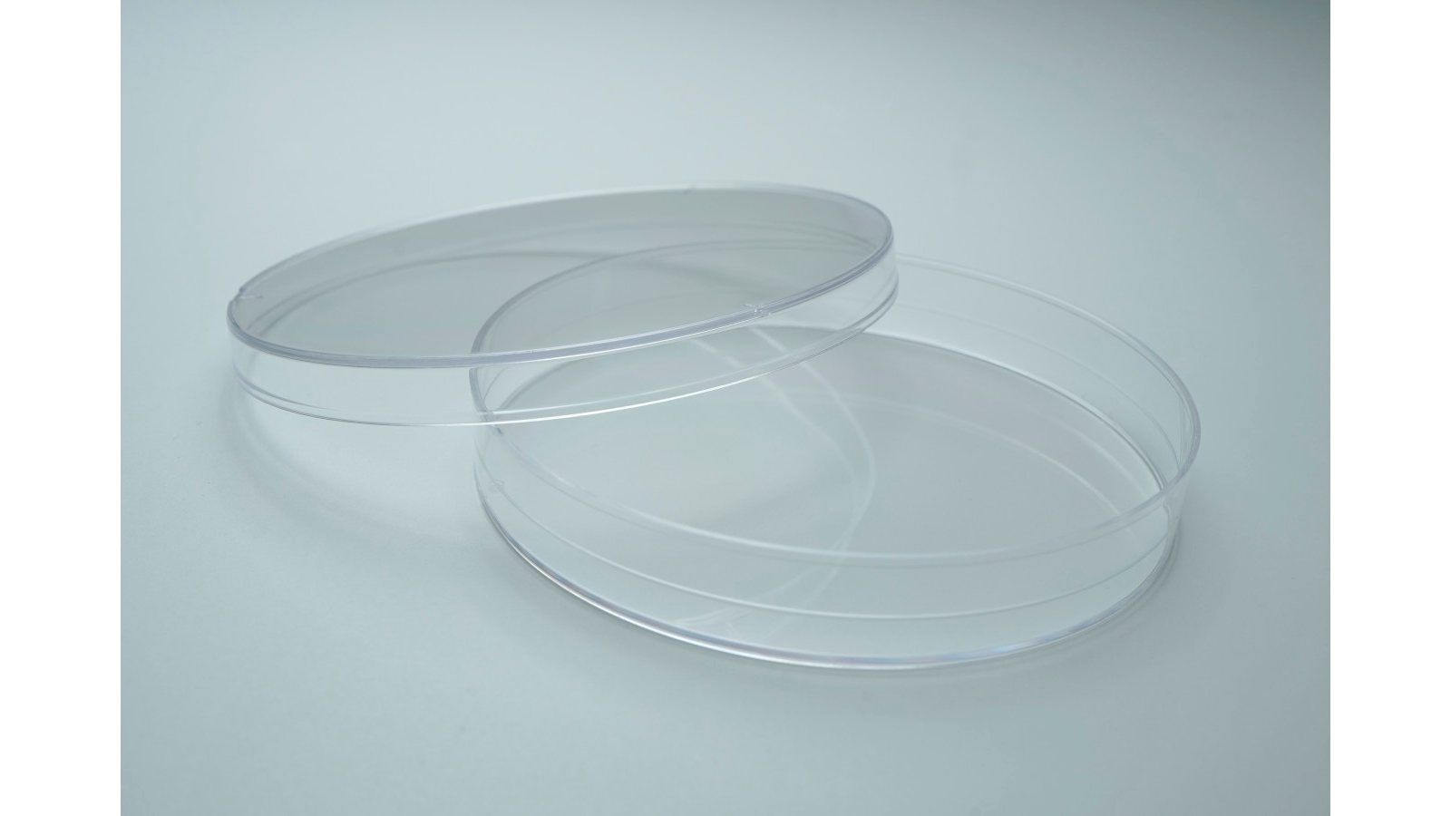 Bakteriyel Petri Kapları