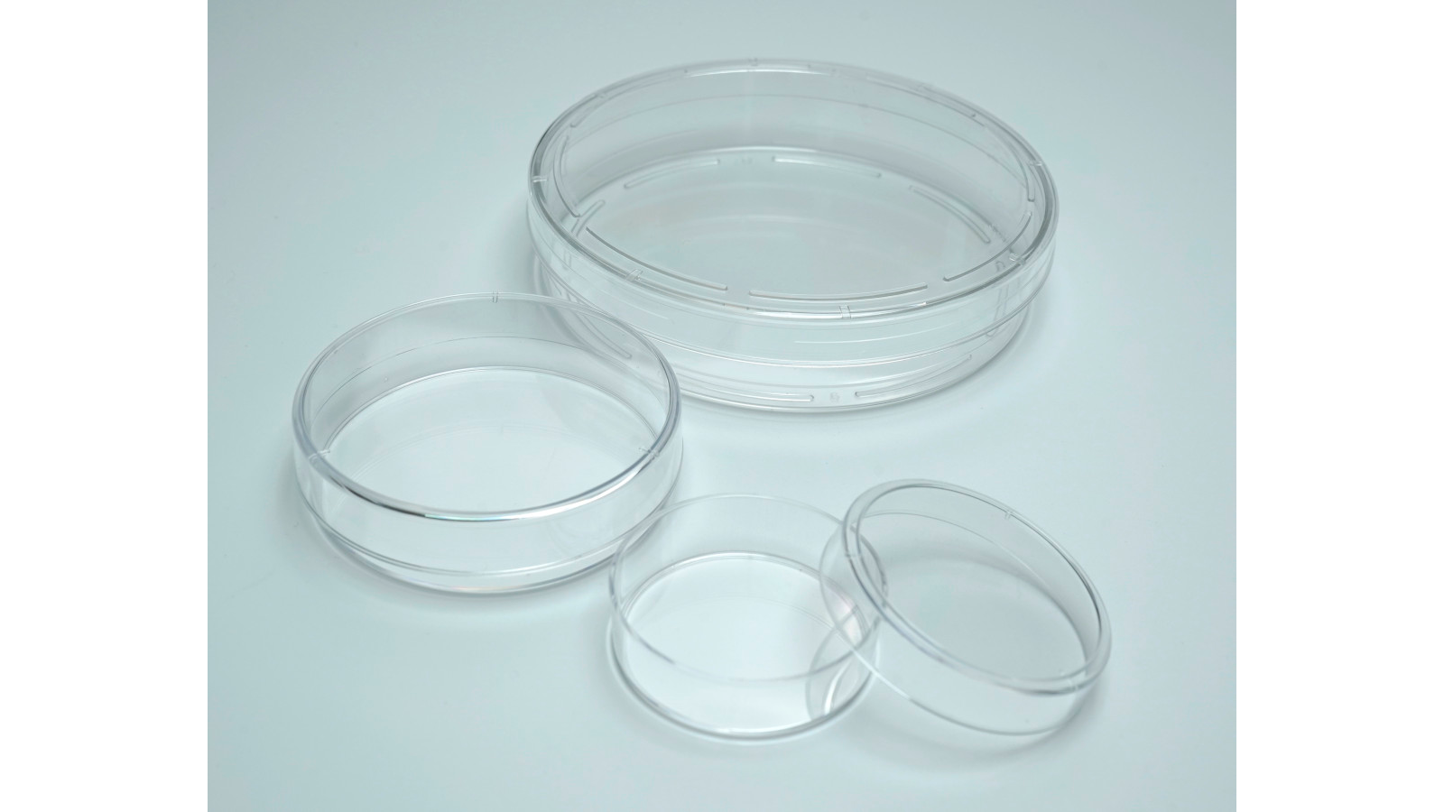 Hücre Kültürü Kapları