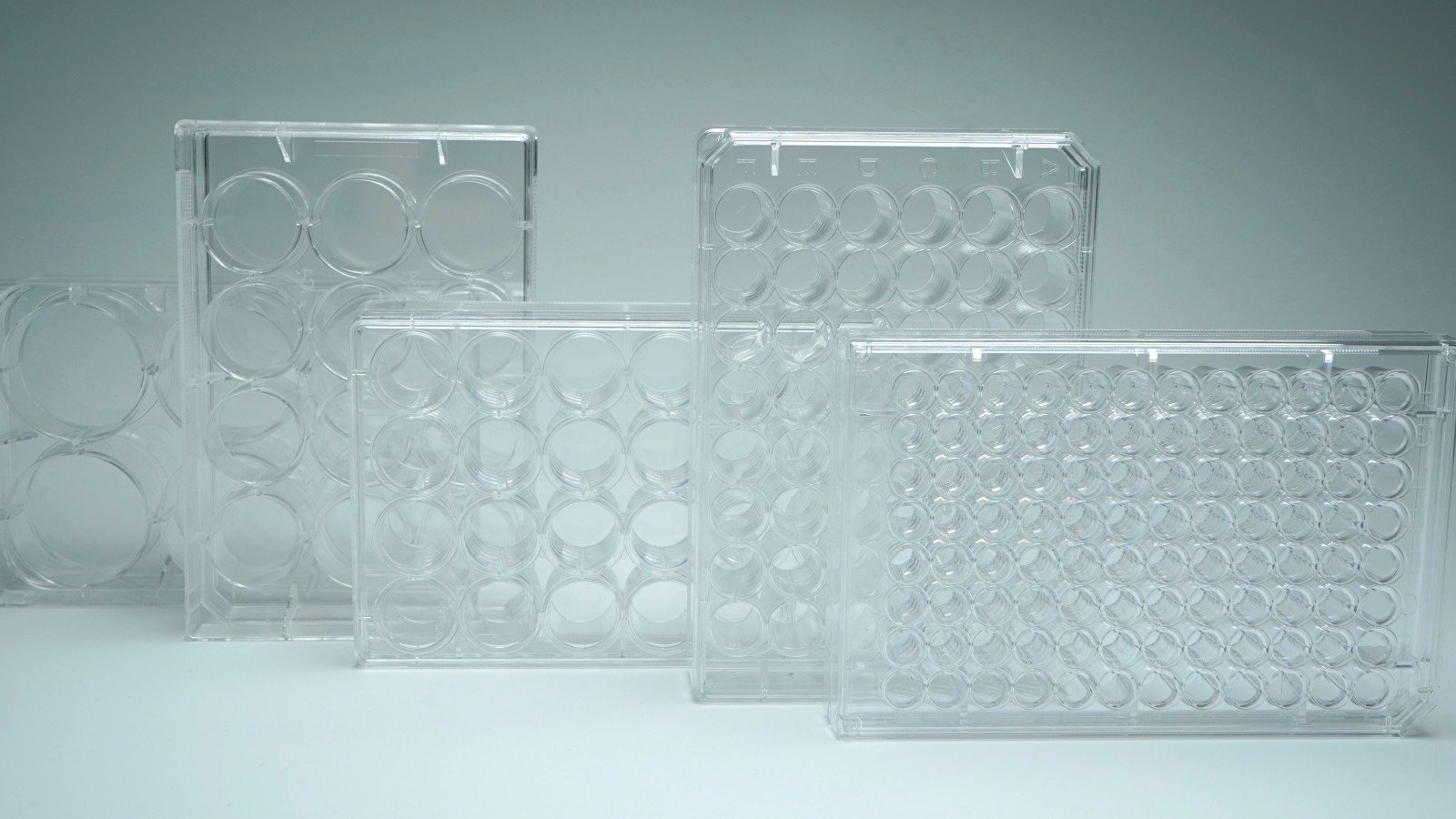 Kuyucuklu Hücre Kültürü Plakaları